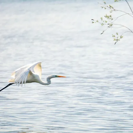 2 Ogrodowa Lägenhet Wislinka