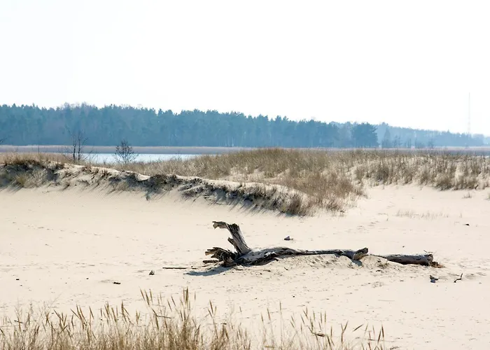 2 Ogrodowa Апартаменты