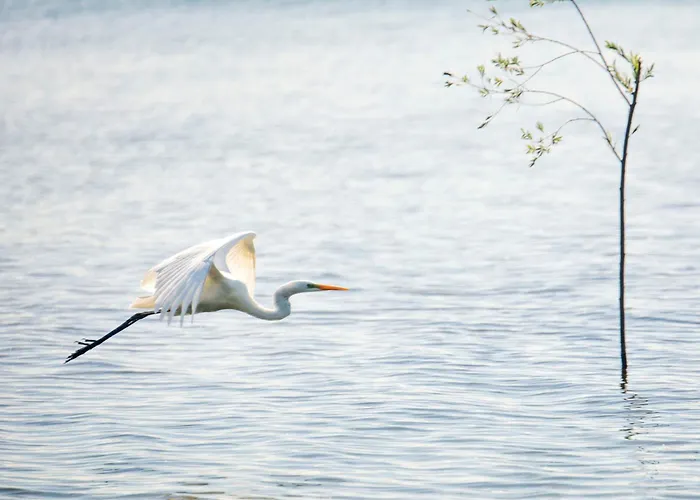 2 Ogrodowa Апартаменты Wislinka